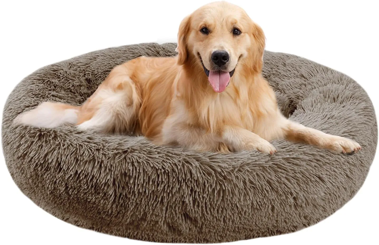 20 Inch Bed for Pets