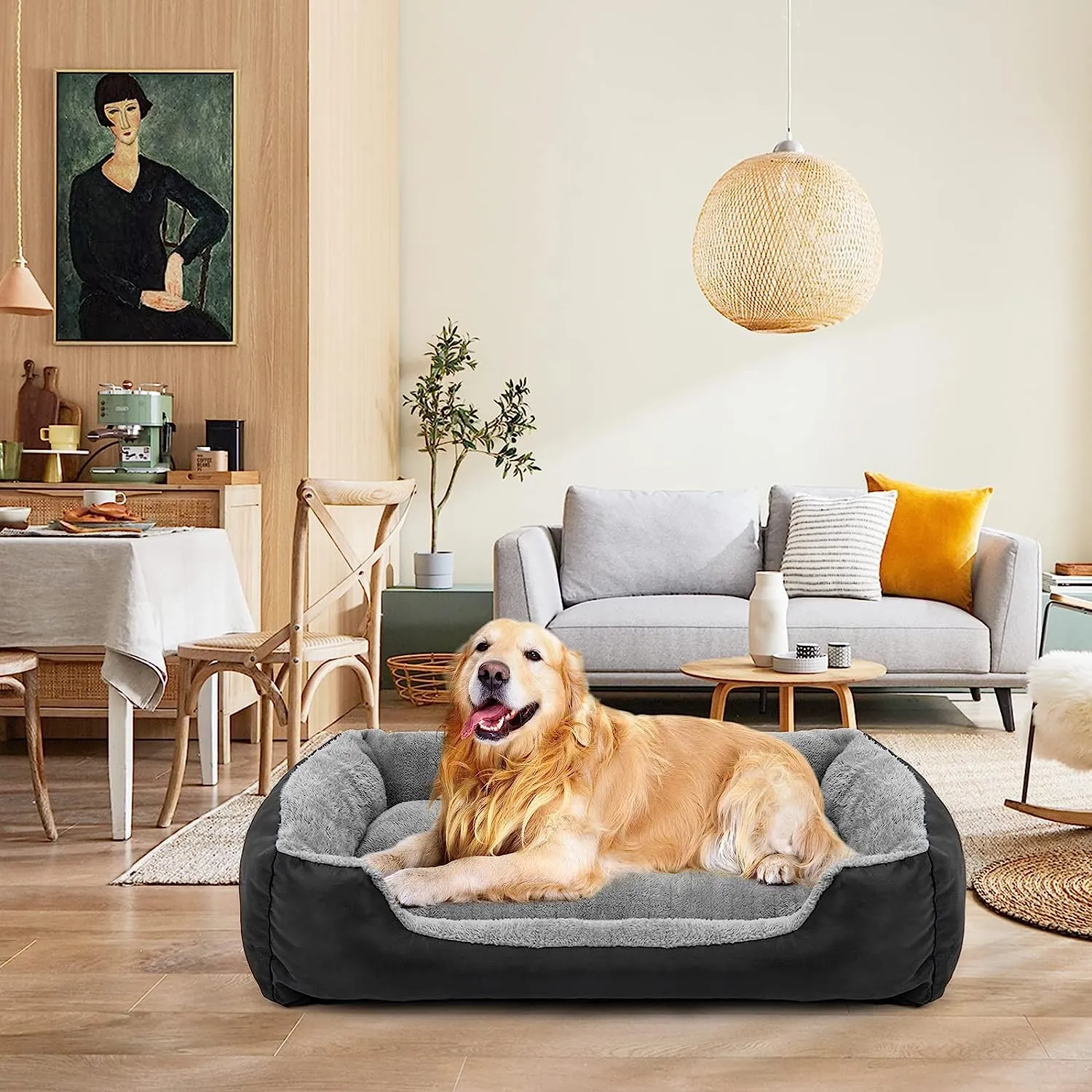 Comfortable Washable Dog Bed for Medium and Large Breeds